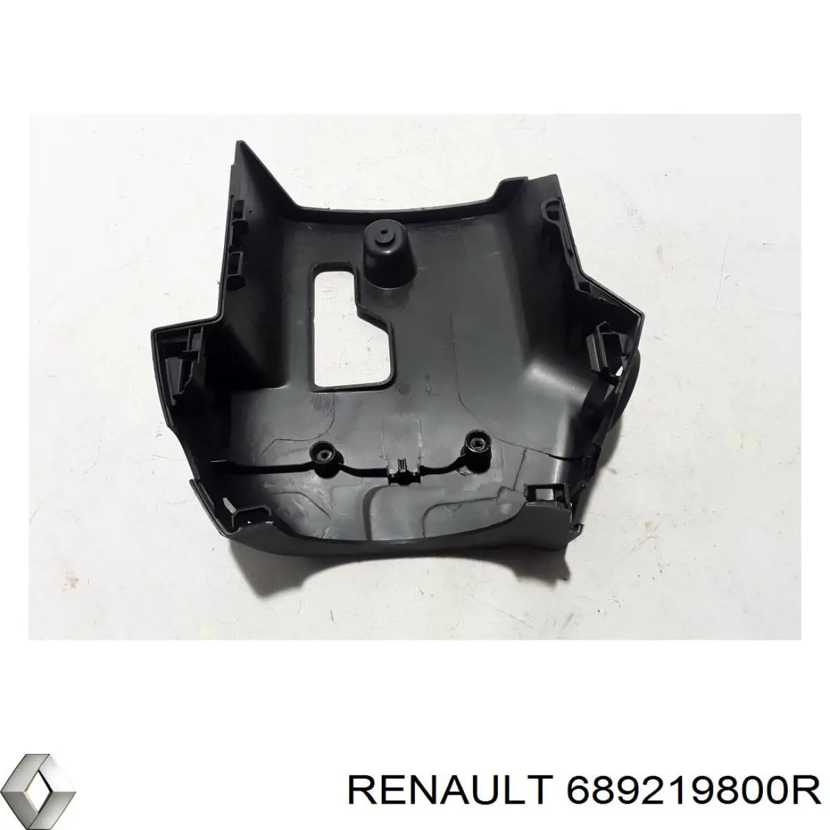  689219800R Renault (RVI)