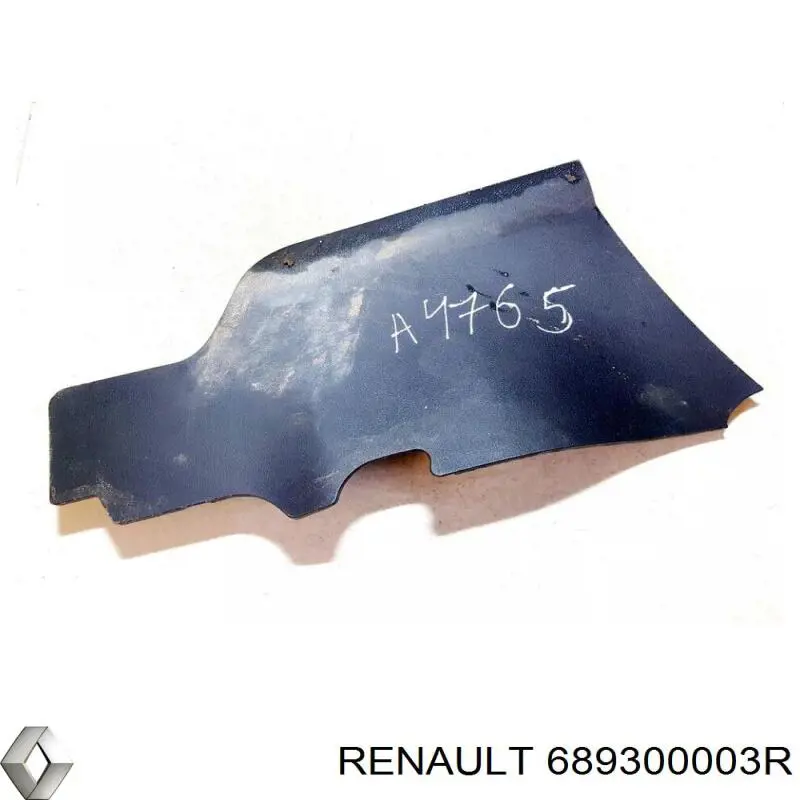 689300003R Renault (RVI) 