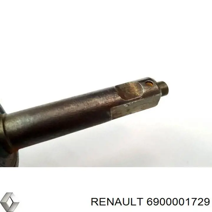  6900001729 Renault (RVI)