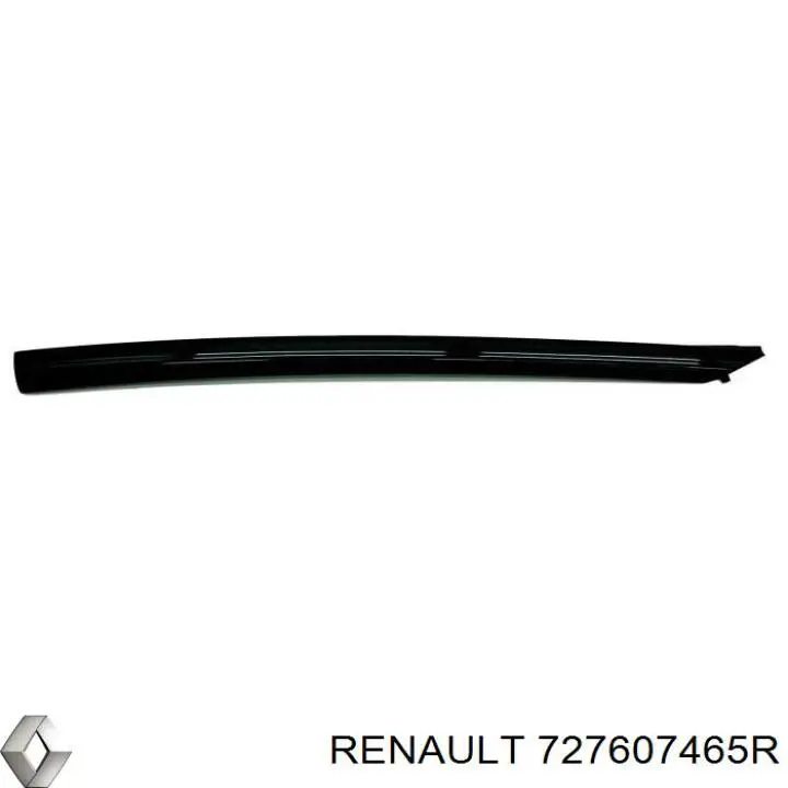  727607465R Renault (RVI)