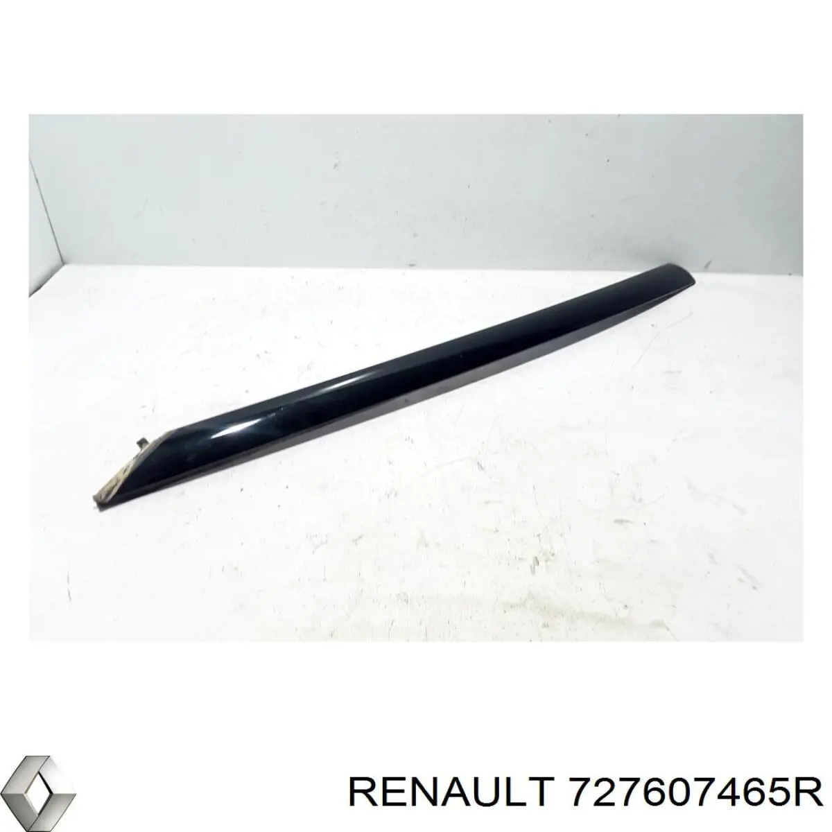 727607465R Renault (RVI) 