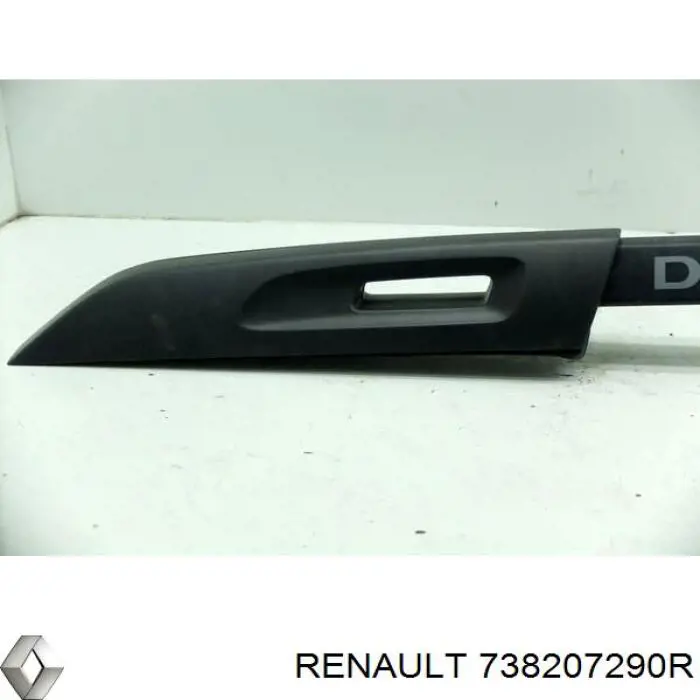 738207290R Renault (RVI) 