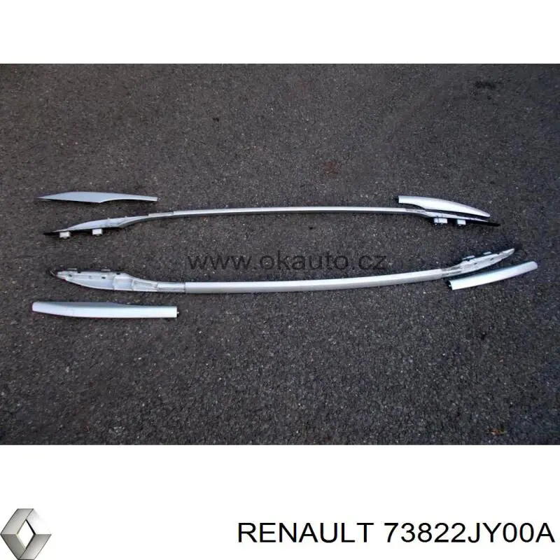  Renault (RVI) 73822JY00A цена, от 48.48 USD