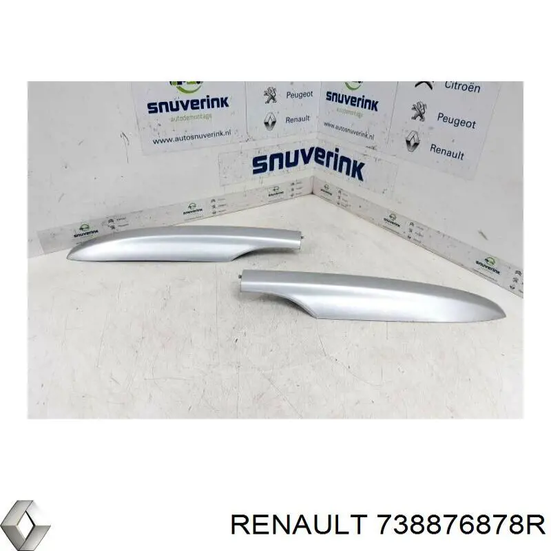  738876878R Renault (RVI)