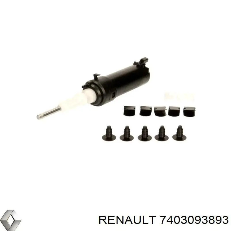  7403093893 Renault (RVI)