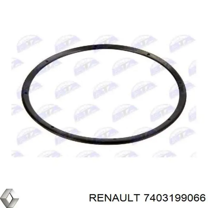 Кольцо стопорное подшипника задней ступицы Renault (RVI) 7403199066