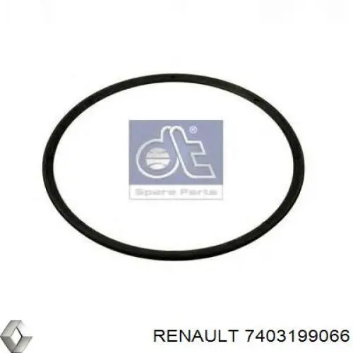 Кольцо стопорное подшипника задней ступицы 7403199066 Renault (RVI)