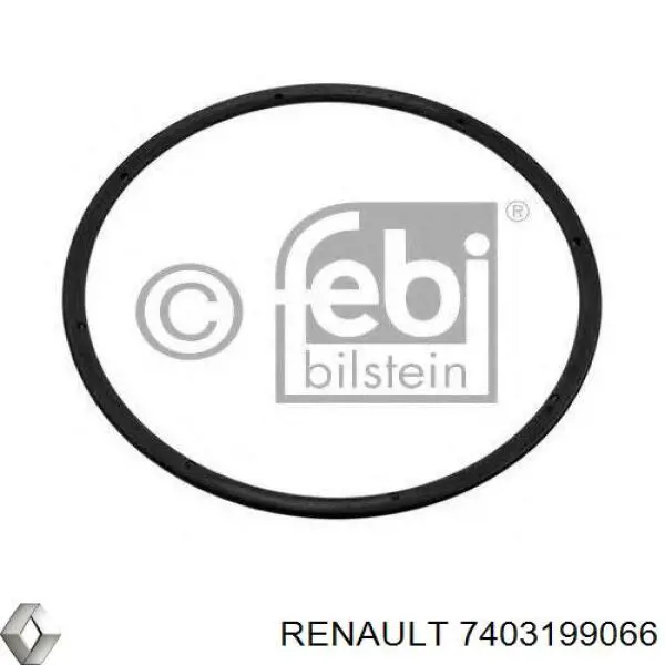 7403199066 Renault (RVI) Кольцо стопорное подшипника задней ступицы