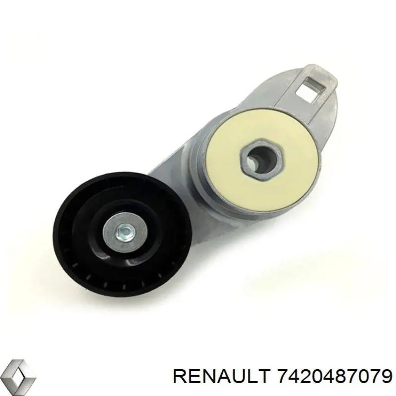 Натяжитель приводного ремня 7420487079 Renault (RVI)