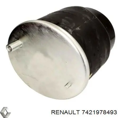 7421978493 Renault (RVI)