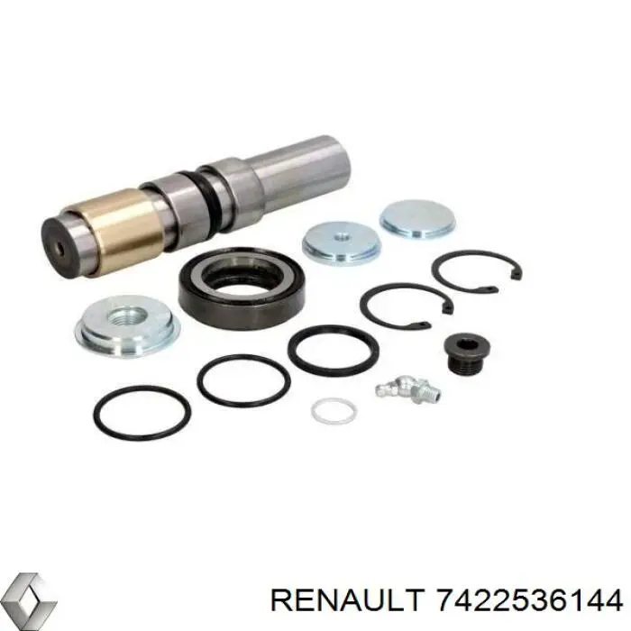 Ремкомплект шкворня поворотного кулака 7422536144 Renault (RVI)