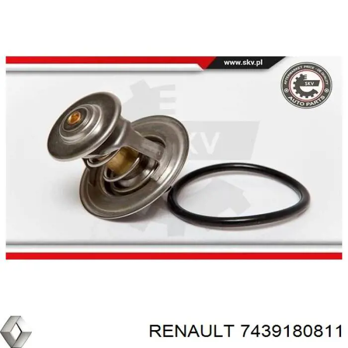 Термостат в корпусе Renault (RVI) 7439180811 цена, от 18.08 USD
