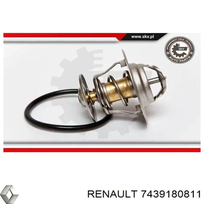 Купить 7439180811 Renault (RVI) Автомобильный термостат