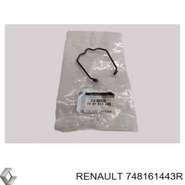 Скоба патрубка интеркуллера 748161443R Renault (RVI)