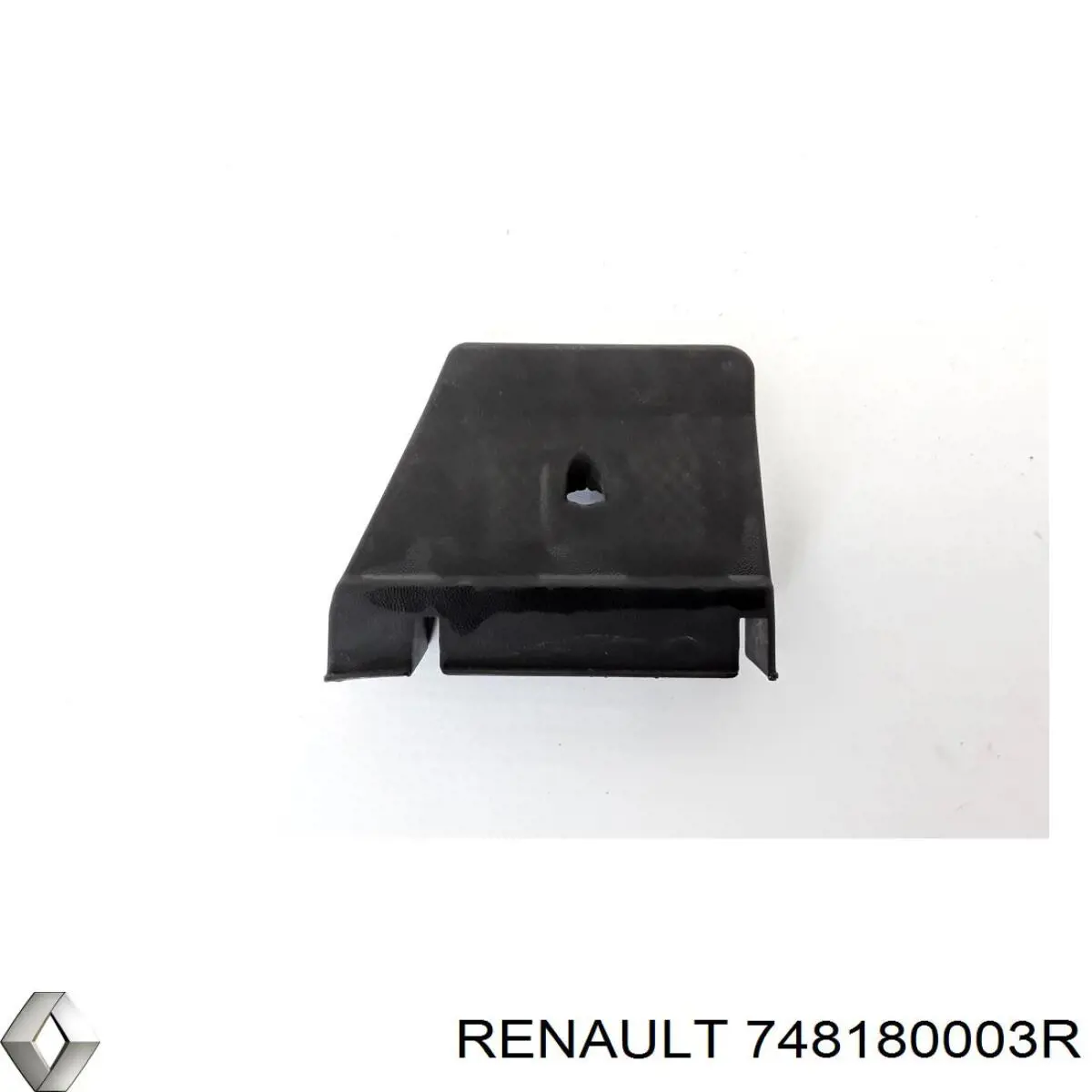 748180003R Renault (RVI) 