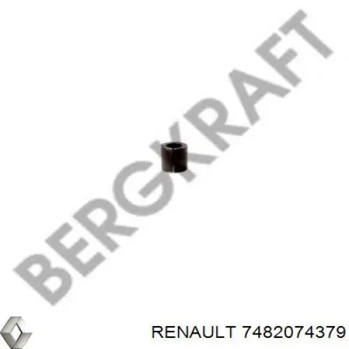 Втулка стабилизатора переднего 7482074379 Renault (RVI)