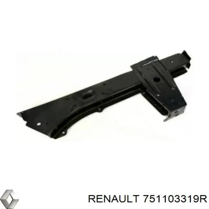 751103319R Renault (RVI)