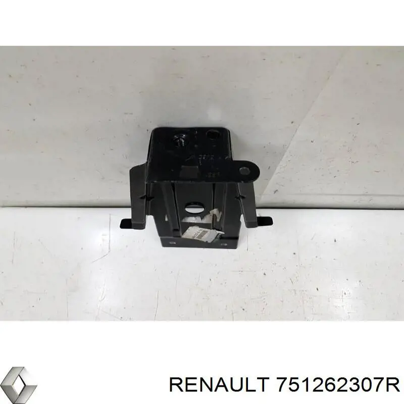 Кронштейн арки колеса (лонжерона) правый Renault (RVI) 751262307R цена, от 73.82 USD