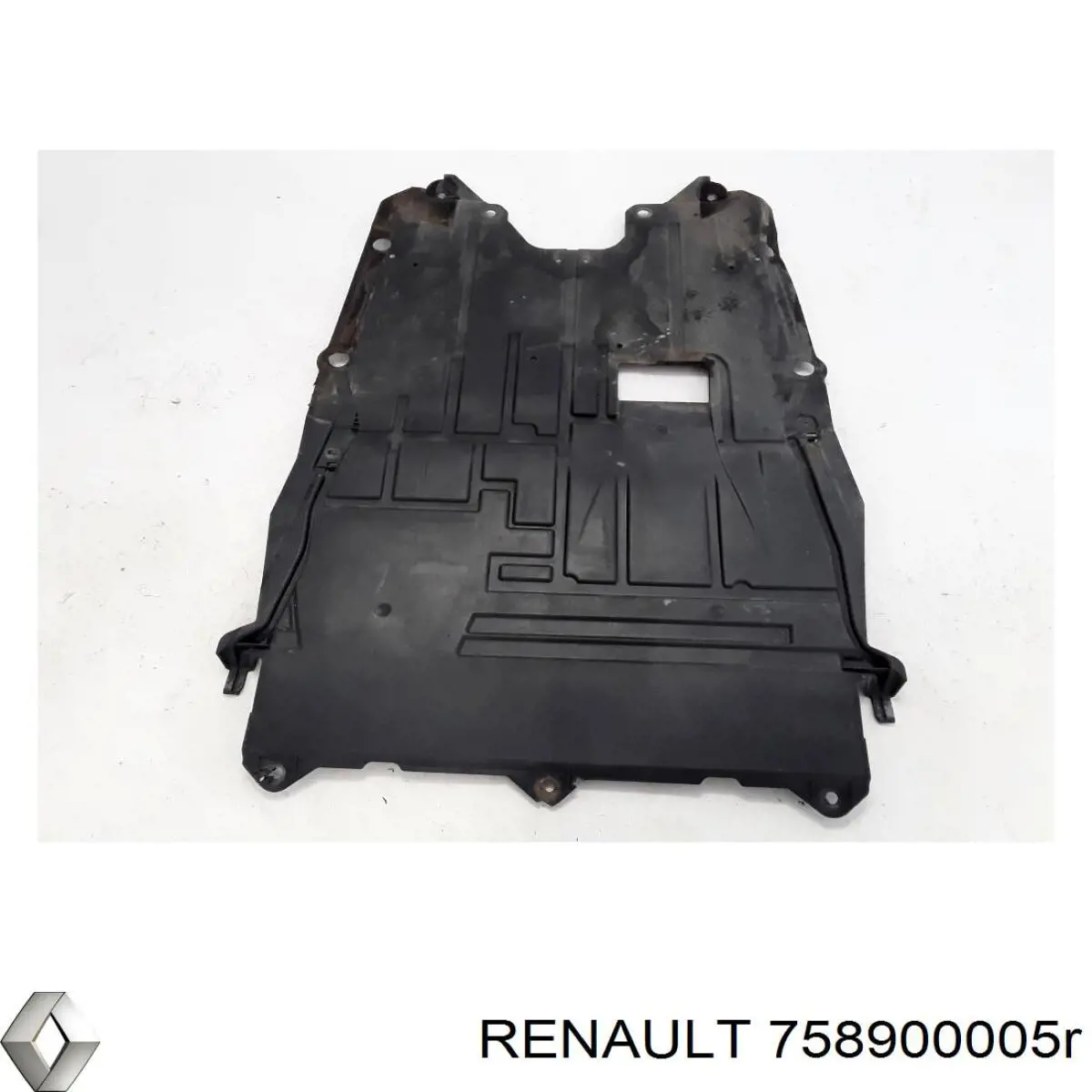  758900005R Renault (RVI)