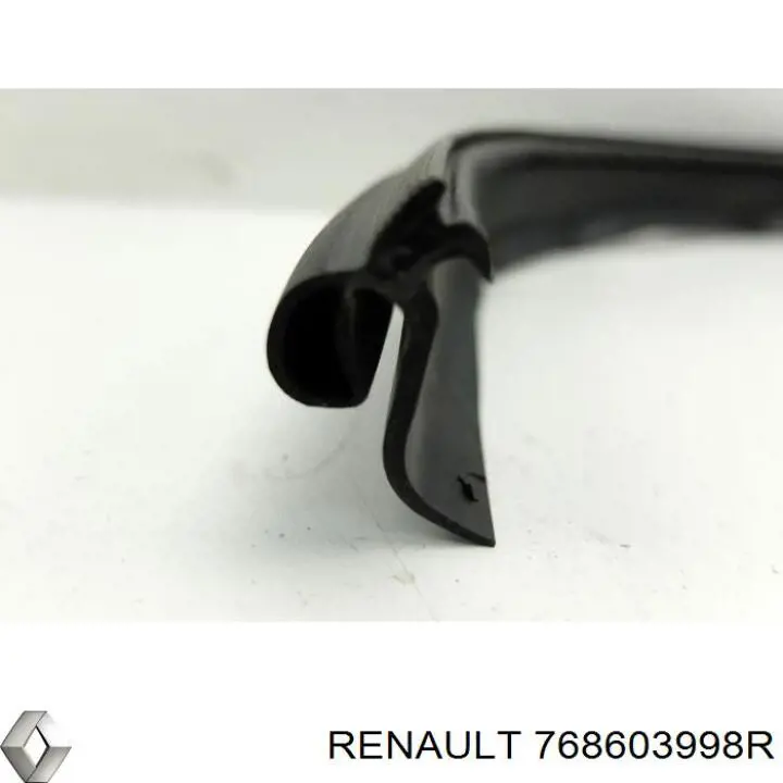  768603998R Renault (RVI)