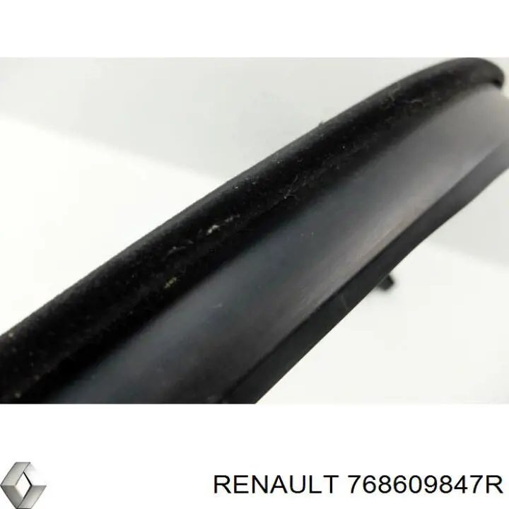 Уплотнитель двери передней правой (на кузове) 768600008R Renault (RVI)