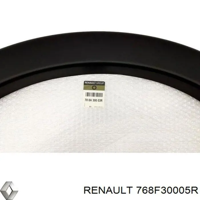 Молдинг крыла заднего правого 768F30005R Renault (RVI)