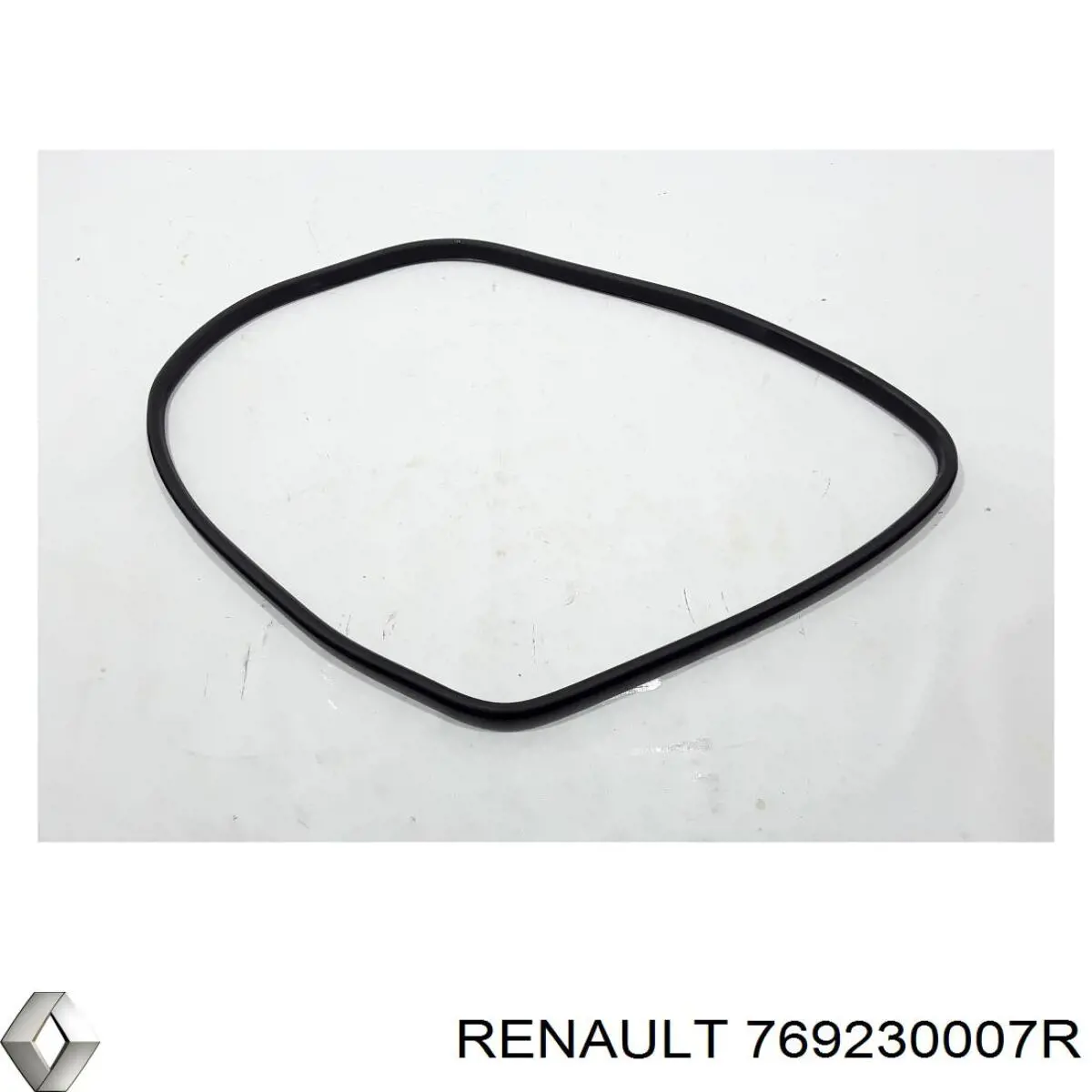  769230007R Renault (RVI)