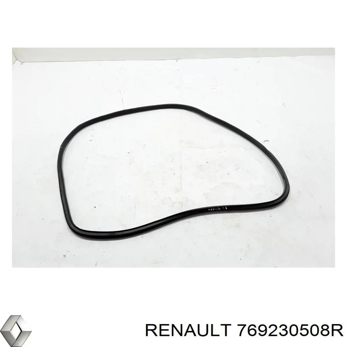  Renault (RVI) 769230508R цена, от 16.77 USD