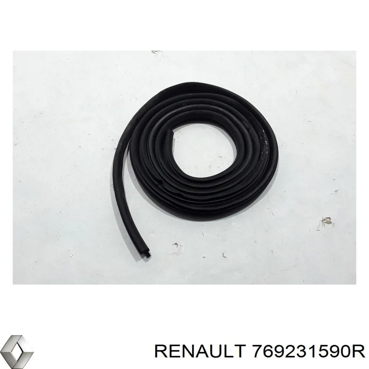 769231590R Renault (RVI) 