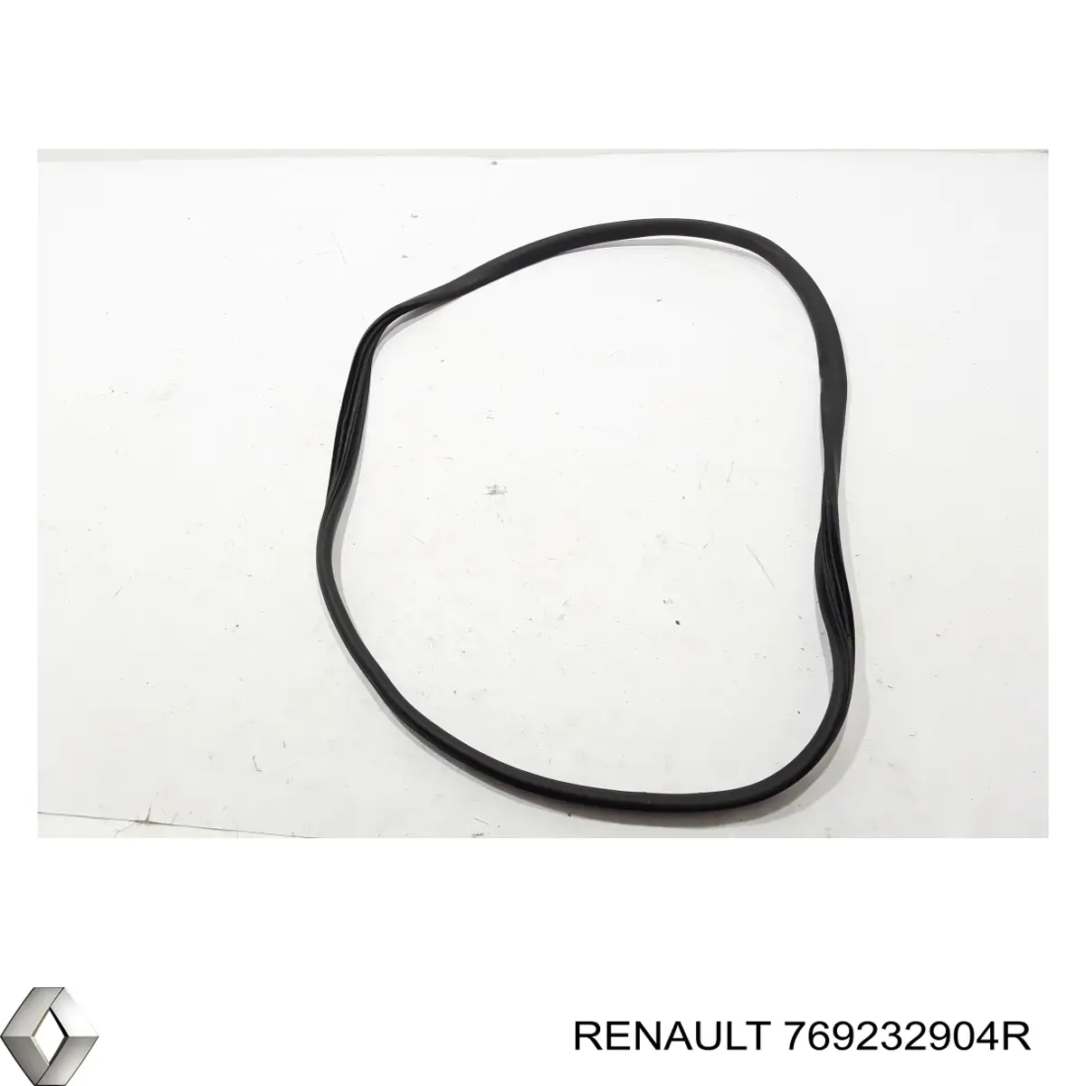  769232904R Renault (RVI)