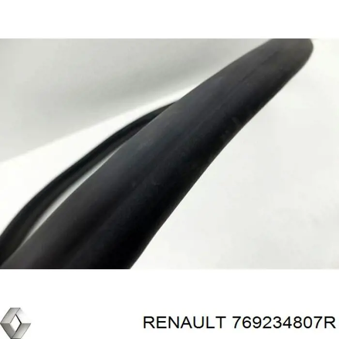 769234807R Renault (RVI) 