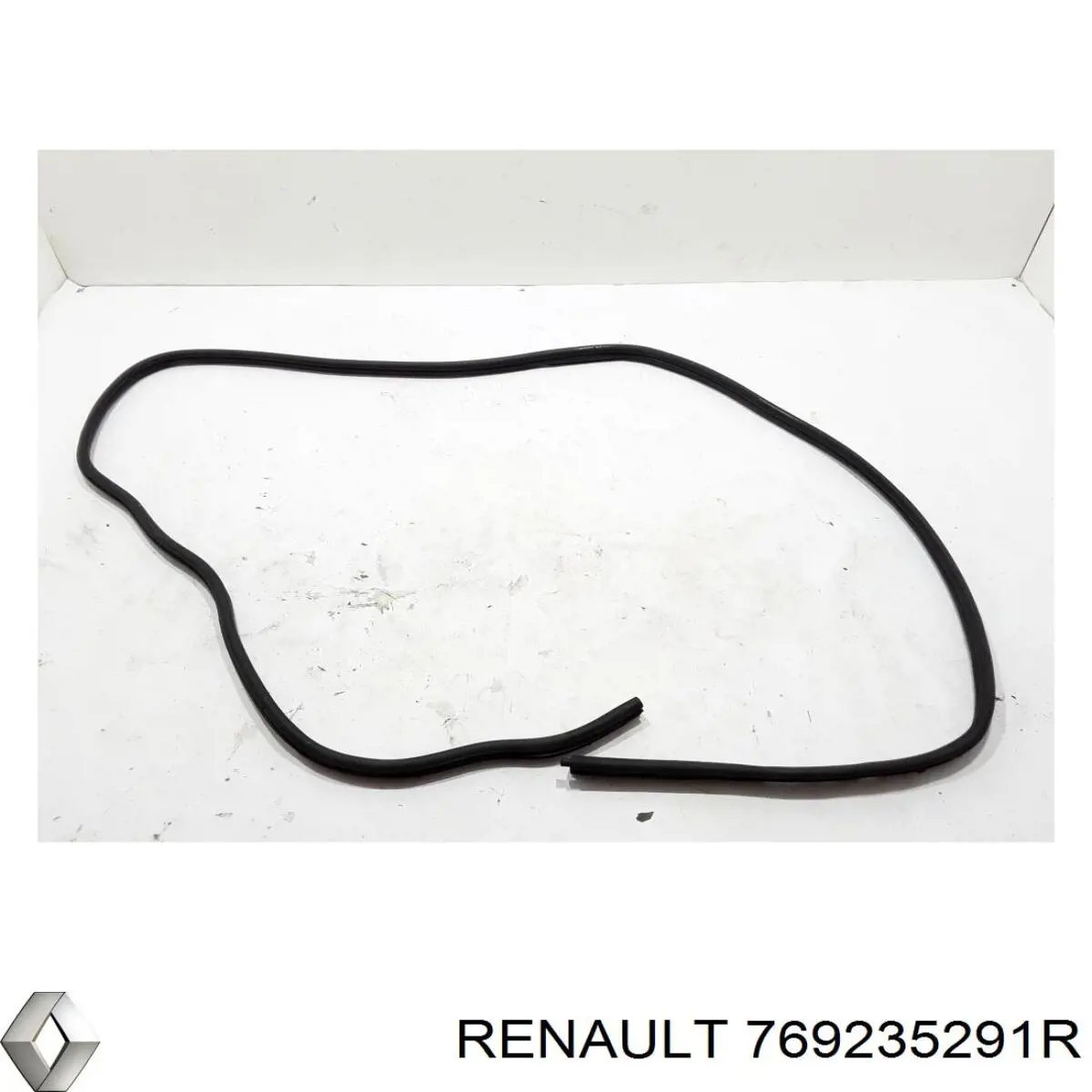 769235291R Renault (RVI) 