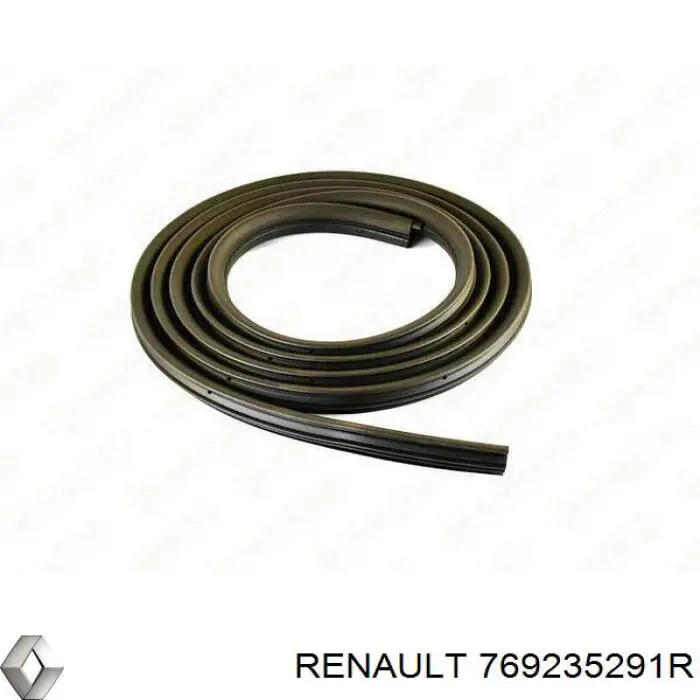  Renault (RVI) 769235291R цена, от 31.67 USD