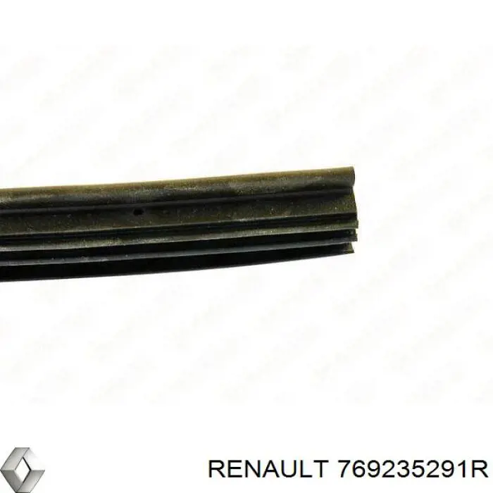  769235291R Renault (RVI)