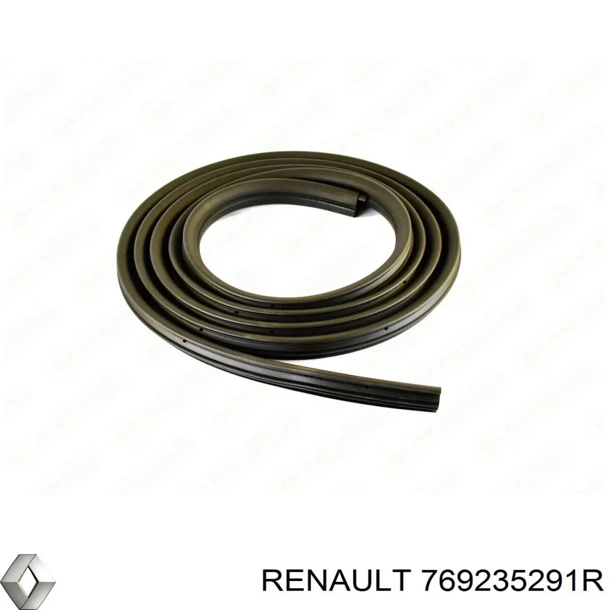  Renault (RVI) 769235291R