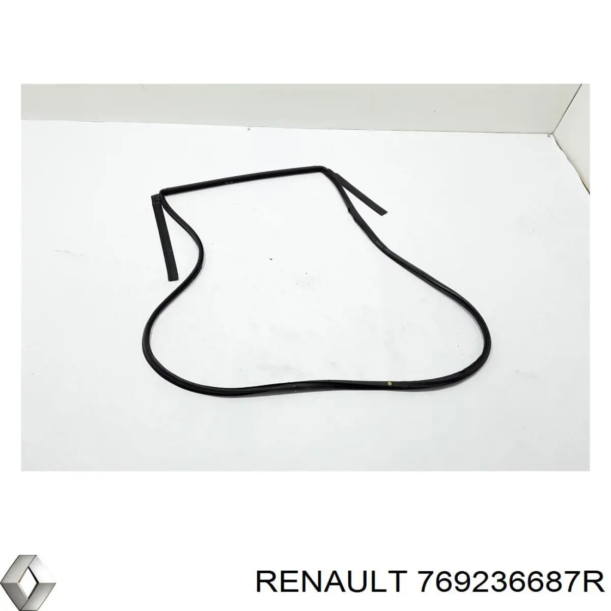Купить 769236687R Renault (RVI) 