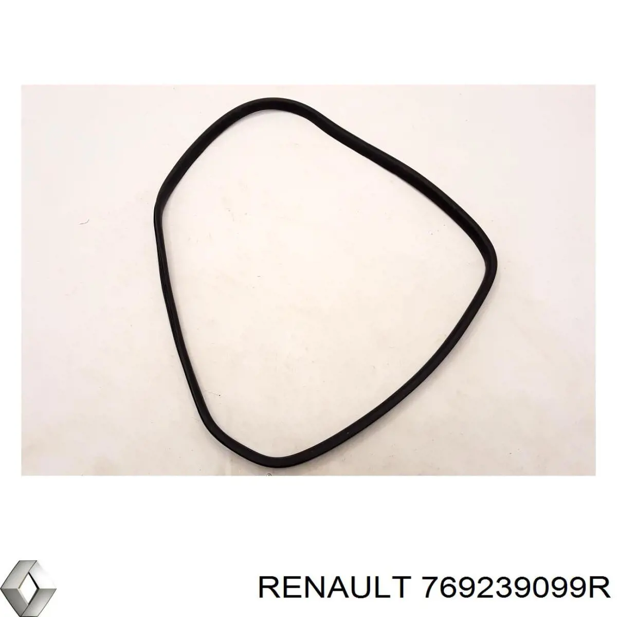 769239099R Renault (RVI) 
