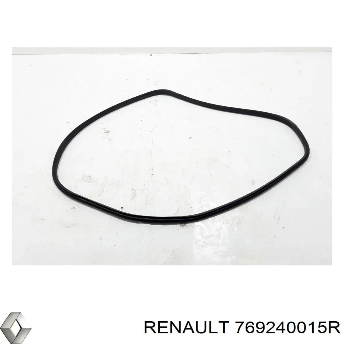  769240015R Renault (RVI)