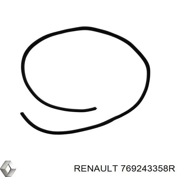 769243358R Renault (RVI) 