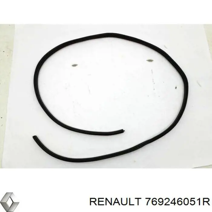 Уплотнитель двери передней левой (на двери) Renault (RVI) 769246051R цена, от 27.49 USD