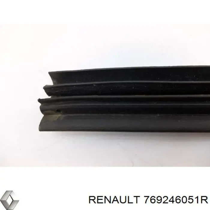  769246051R Renault (RVI)