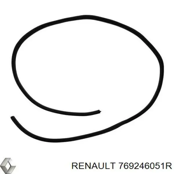 Купить 769246051R Renault (RVI) Уплотнитель двери передней левой (на двери)