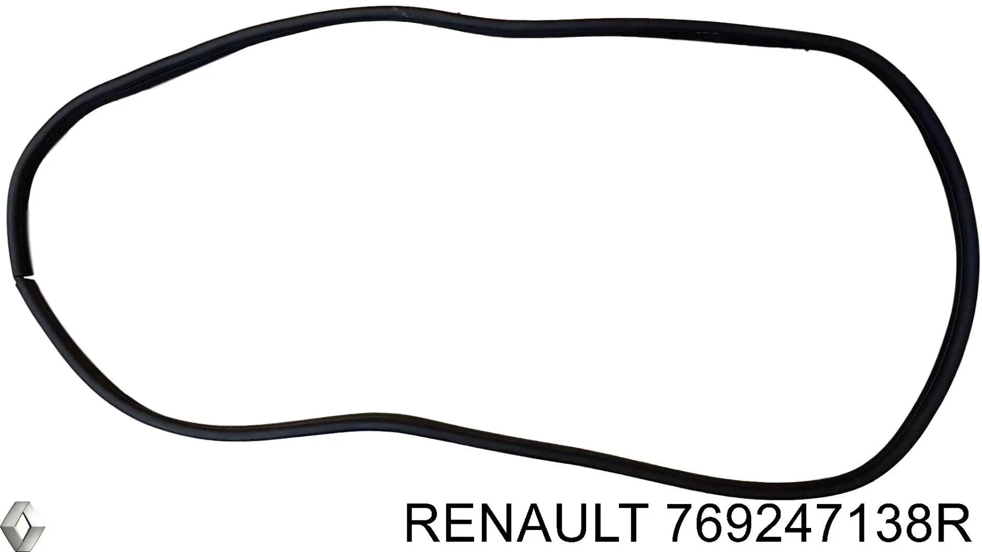 769247138R Renault (RVI) 