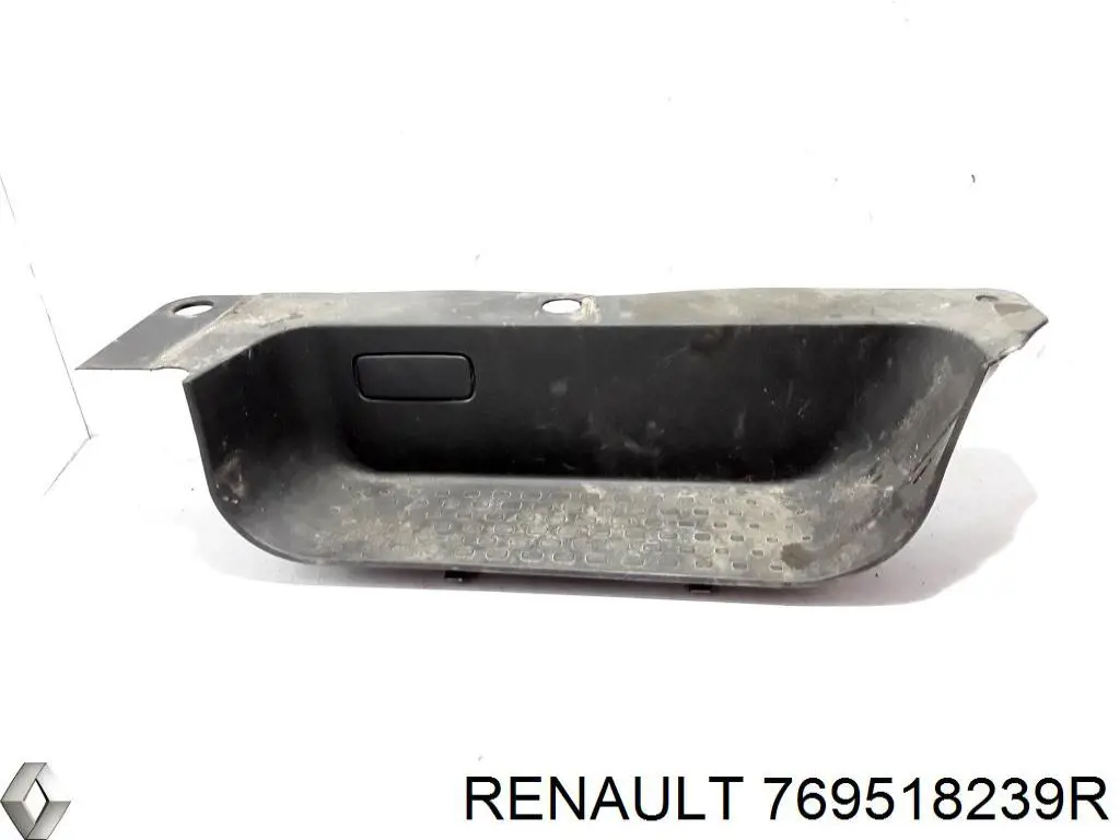  769518239R Renault (RVI)