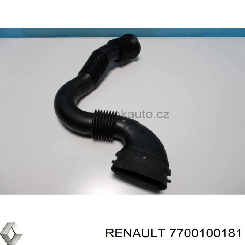 7700100181 Renault (RVI) 