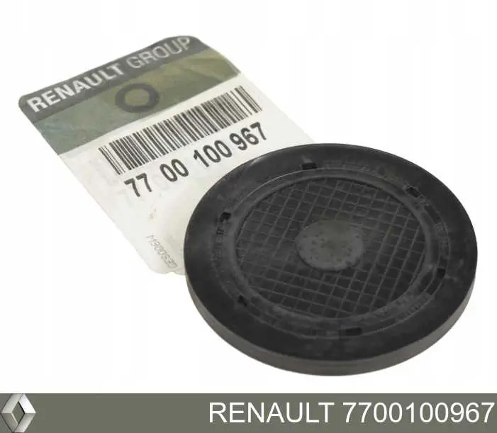 Заглушка ГБЦ/блока цилиндров Renault (RVI) 7700100967