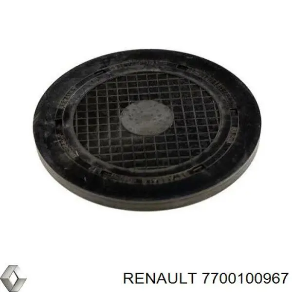 Заглушка ГБЦ 7700100967 Renault (RVI)