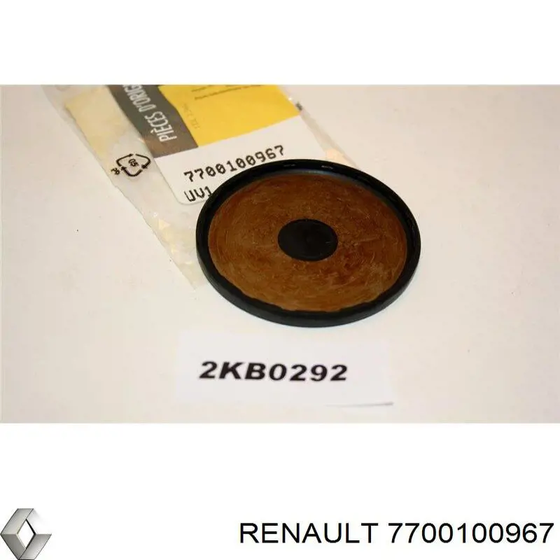 Заглушка ГБЦ 7700100967 Renault (RVI)