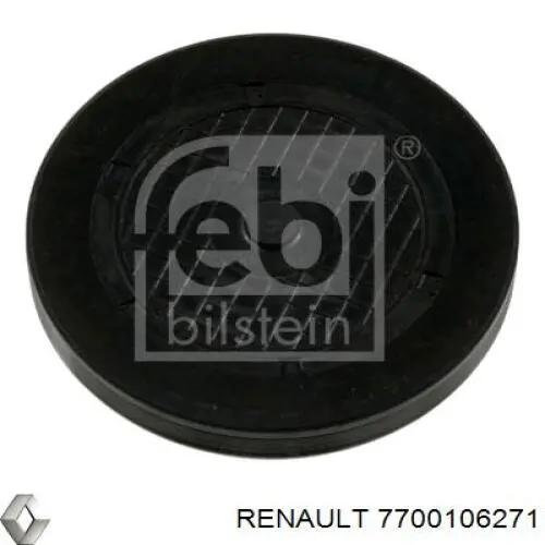 Заглушка ГБЦ 7700106271 Renault (RVI)
