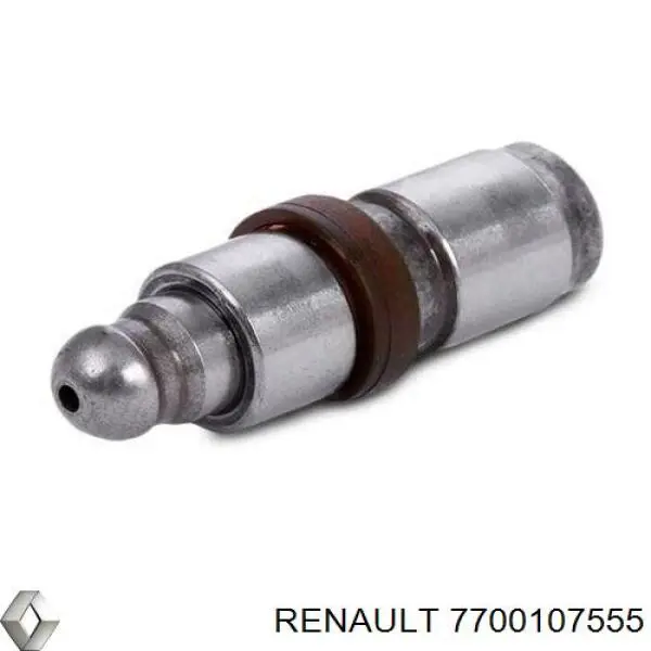 7700107555 Renault (RVI)